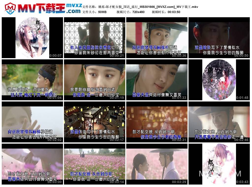 姚瑶-郎才配女貌_国语_流行_MB301666